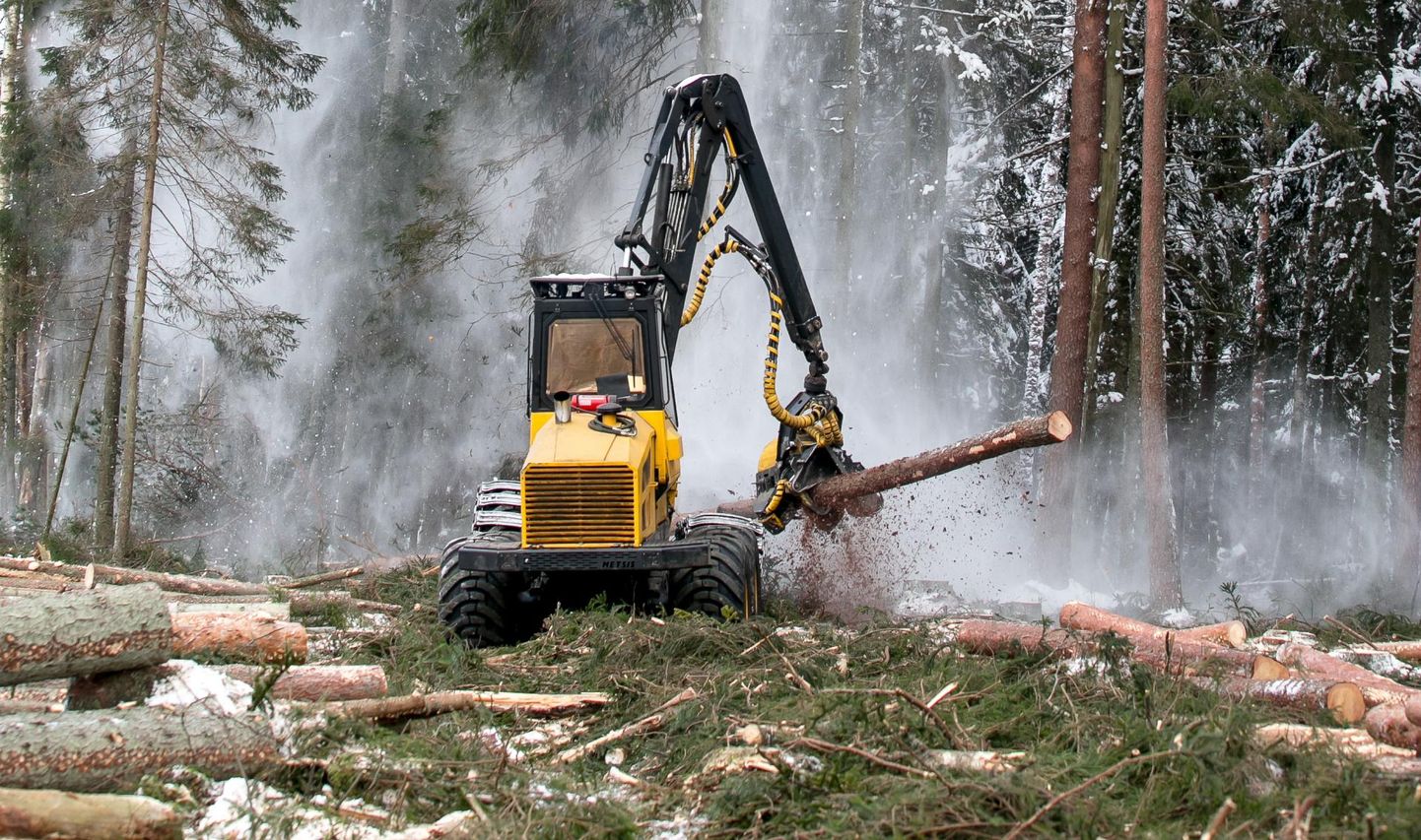 Erametsakeskus toetab metsatööde tegemist.