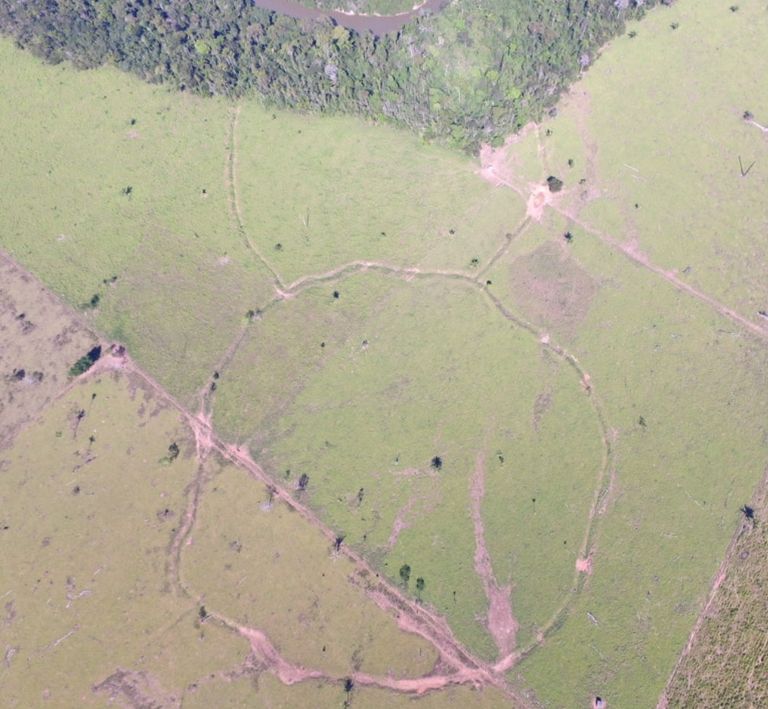 Aerofoto ühest leitud asulast Tapajóse jõe ülemjooksu lähistel