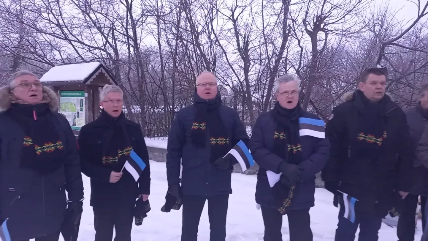 Eesti lipu heiskamine Valastel.mp4