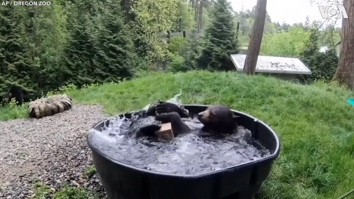 Kuvavõte videost.