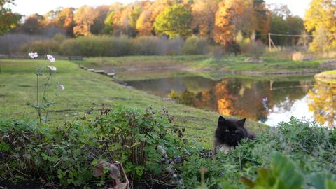 Ceturtdiena būs mākoņaina