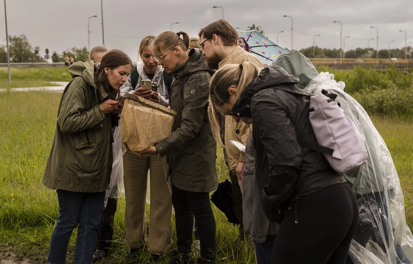 Mullu uuriti loodusvaatluste maratonil Anne kanali äärset elurikkust.