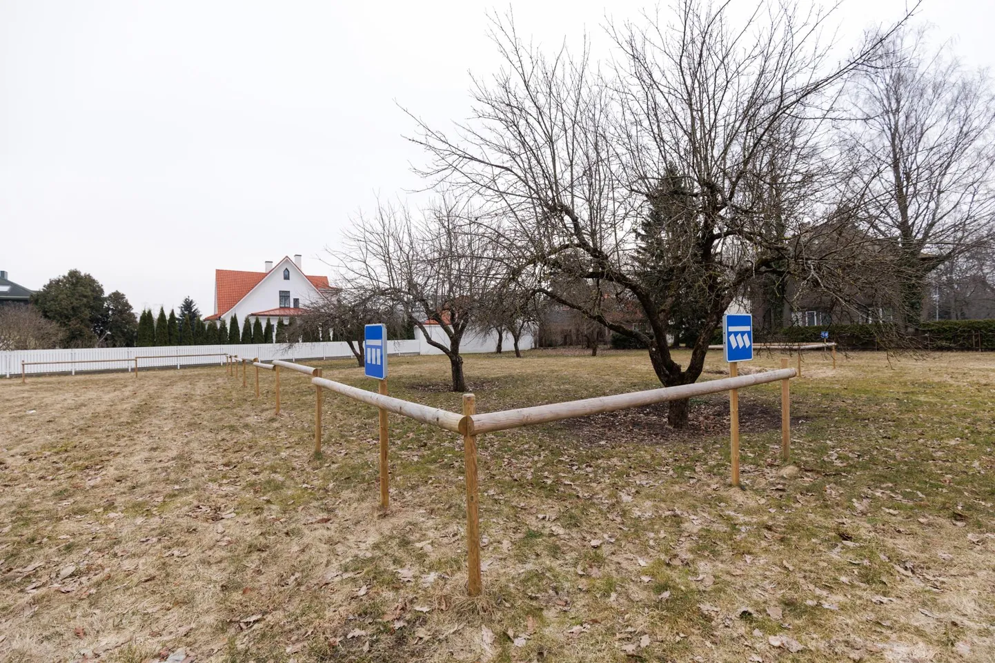Mere puiestee ja Esplanaadi tänava nurgal asuvale krundile rajatud parkla.