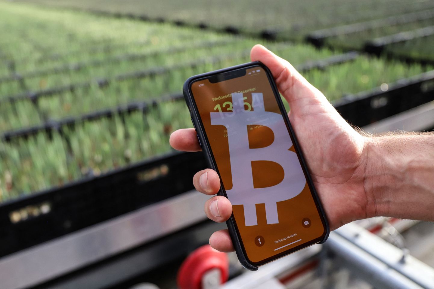 Hollandi lillekasvatusettevõte kasutab oma kasvuhoone soojendamiseks Bitcoini kaevandusmasinaid.
