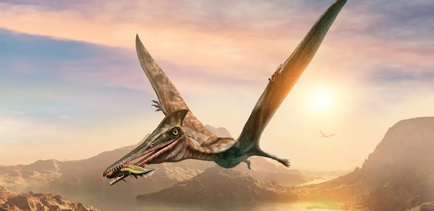 Pterosaurused olid hiiglaslikud lendavad roomajad, kes valitsesid taevast 228–66 miljonit aastat tagasi.