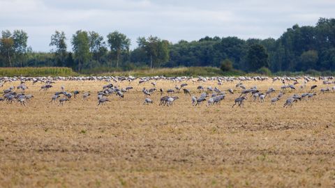 SÄHVATUS ⟩ Sügis on juba siin