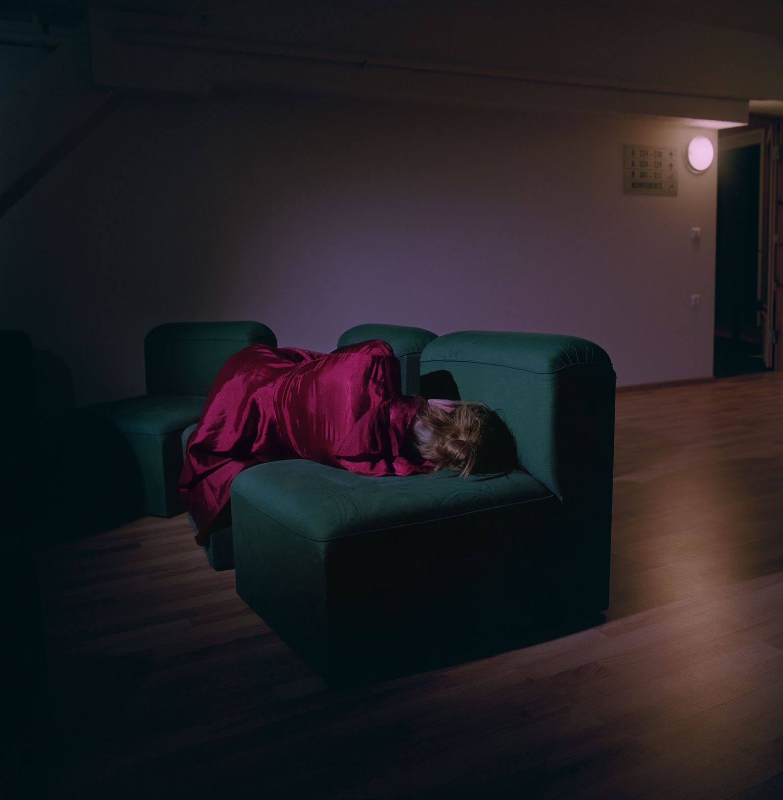 Mari-Leen Kiipli. Unede kool. Värvifoto valguskastis, 80 × 90 cm, 2015