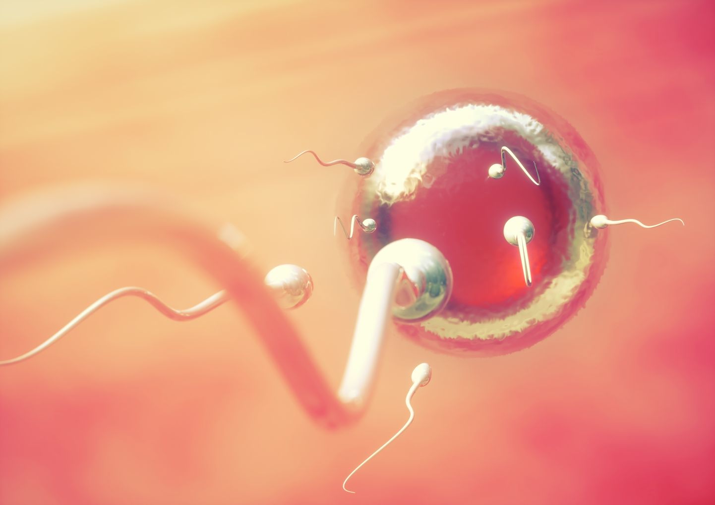 Rohkem kui kolm nurisünnitust üle elanud naiste kaaslaste sperma oli kaks korda rohkem kahjustunud.