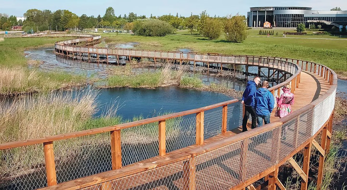 600meetrine jalutusrada lookleb üle rannaniidu kergelt tõustes ja langedes.