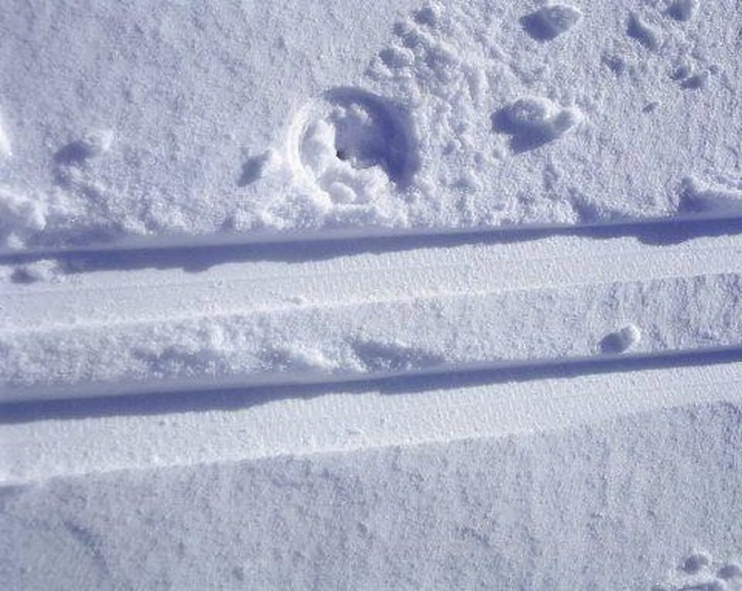 Pärnu külje all Saugas saab tänasest sõita kilomeetrisel suusarajal.