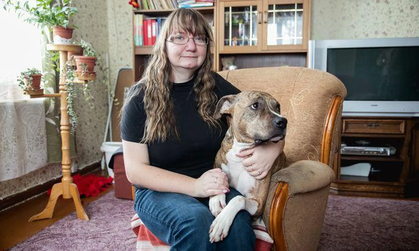 Koer Ammi ei ole pelgalt vahva kaaslane, vaid Liinale ka suureks abiks. Näiteks annab ta märku kui perenaisel on palavik. Samuti verejooksudega, kui Ammi mõnda liigest lakub, teab Liina, et tuleb süst ära teha.