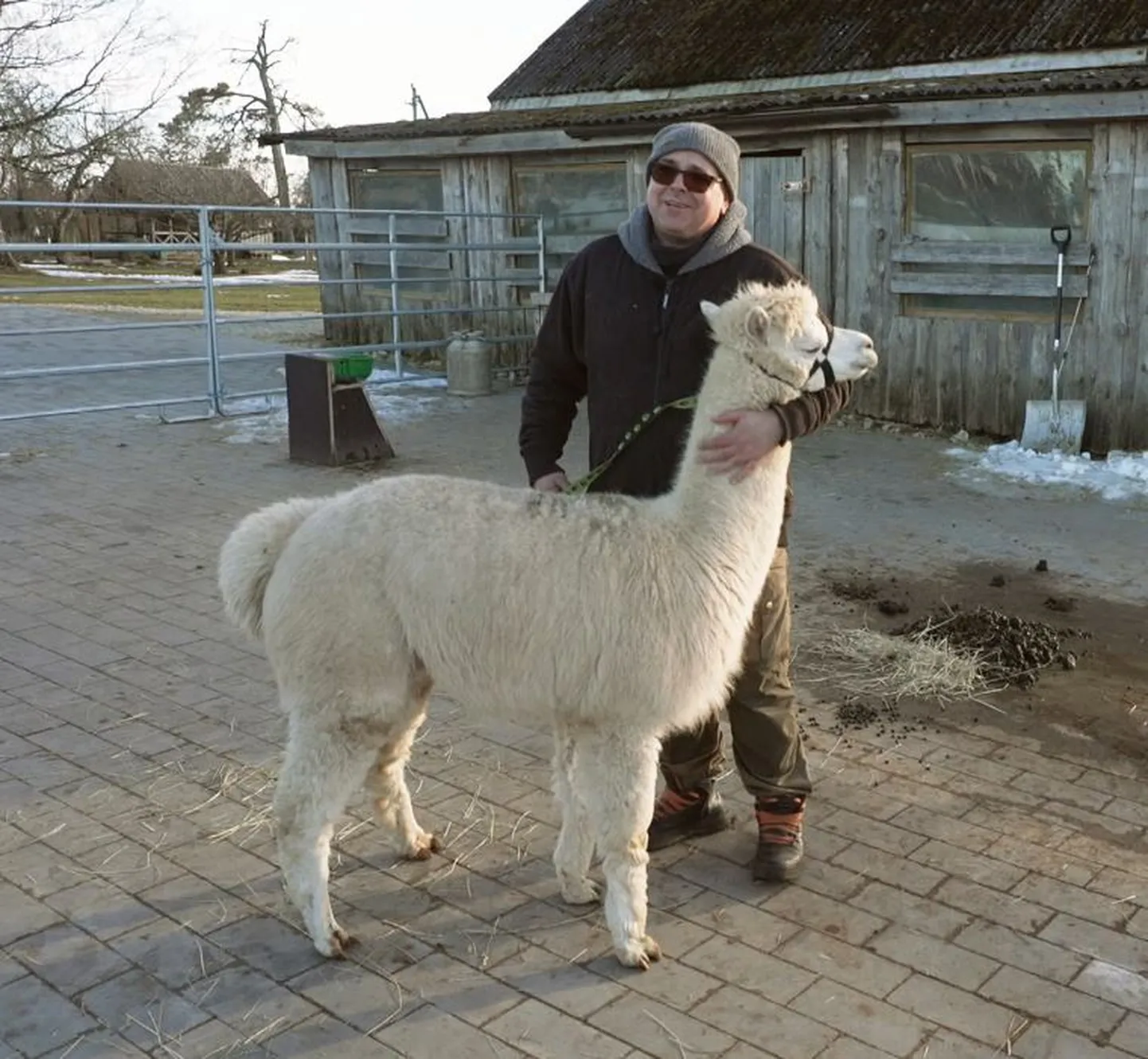 Imre Heinsaar alapakatefarmis.