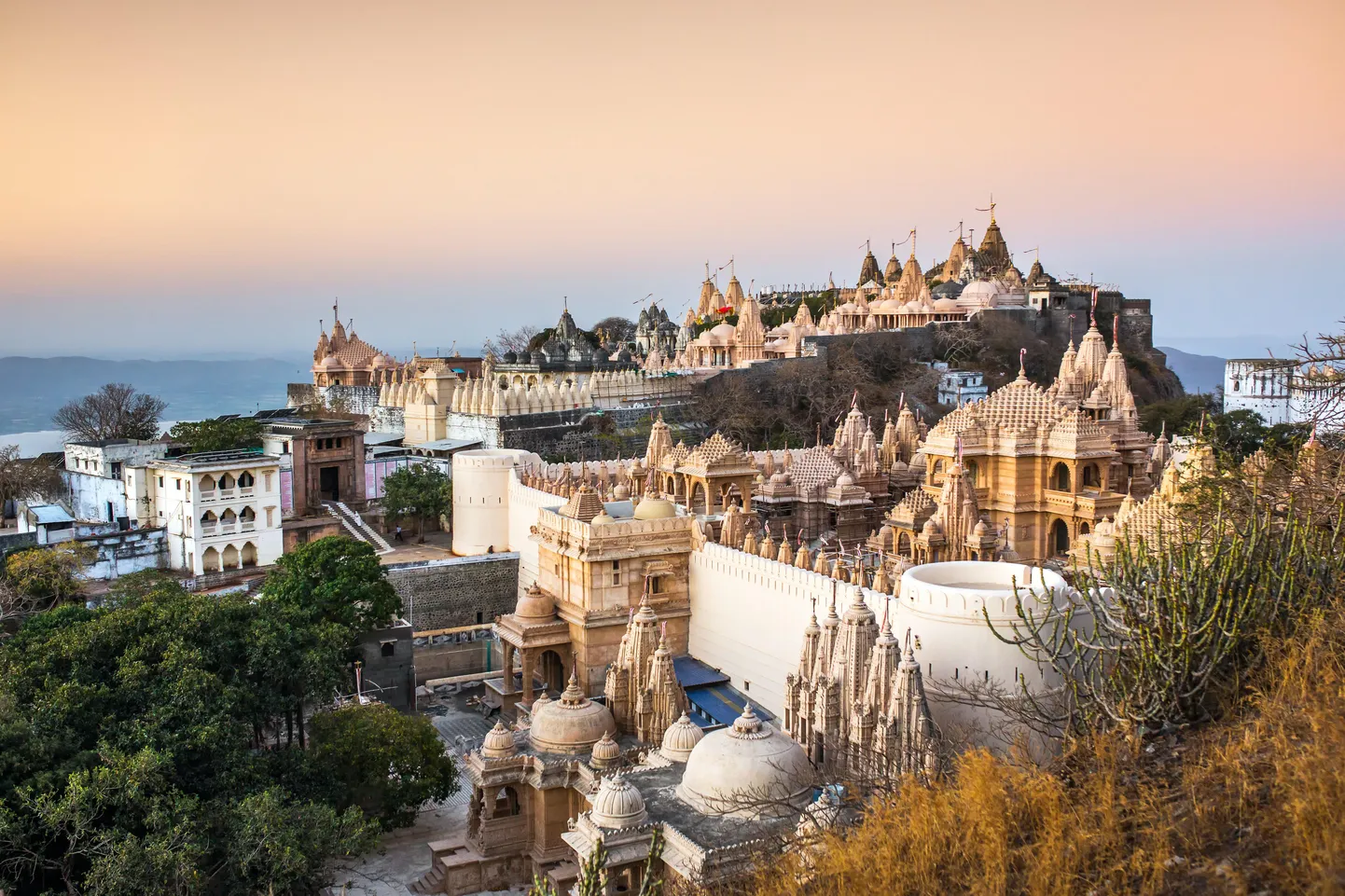 Palitana templid