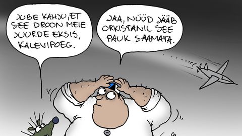 JUHTKIRI ⟩ Võtame seda õppusena