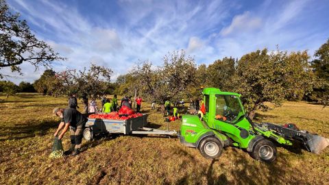 Vinni õunaaia saagist valmib ligi 2000 liitrit mahla