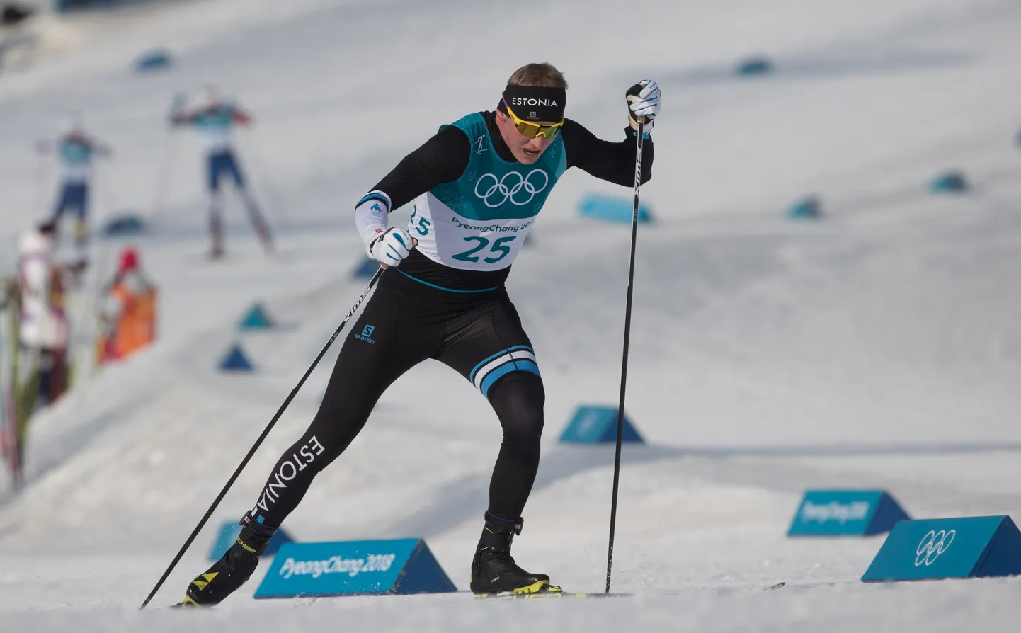 Karel Tammjärv.