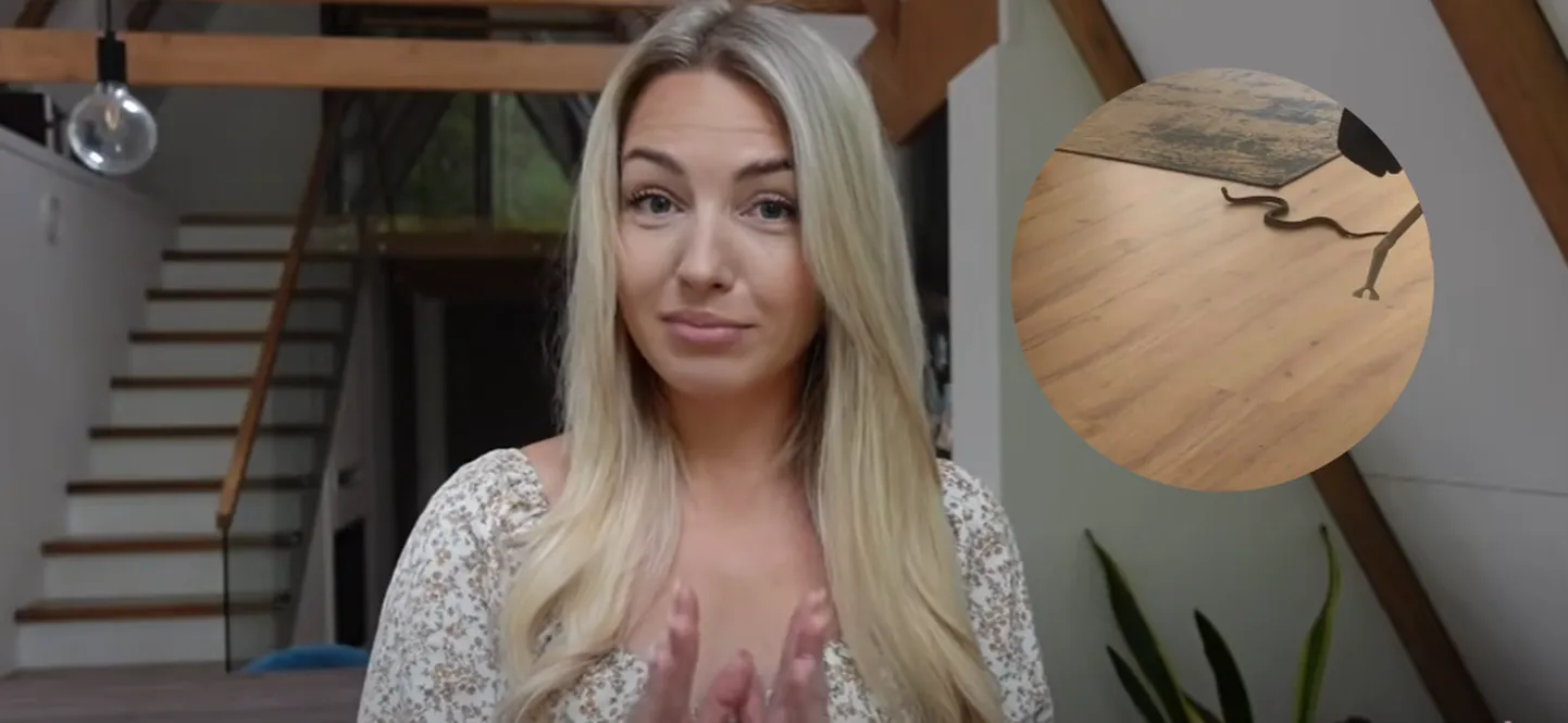 Liisa Pärnpuu/Elu24 kollaaž.