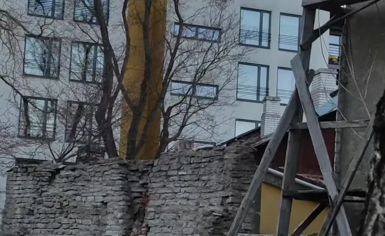 Ilves Tallinna kesklinnas.