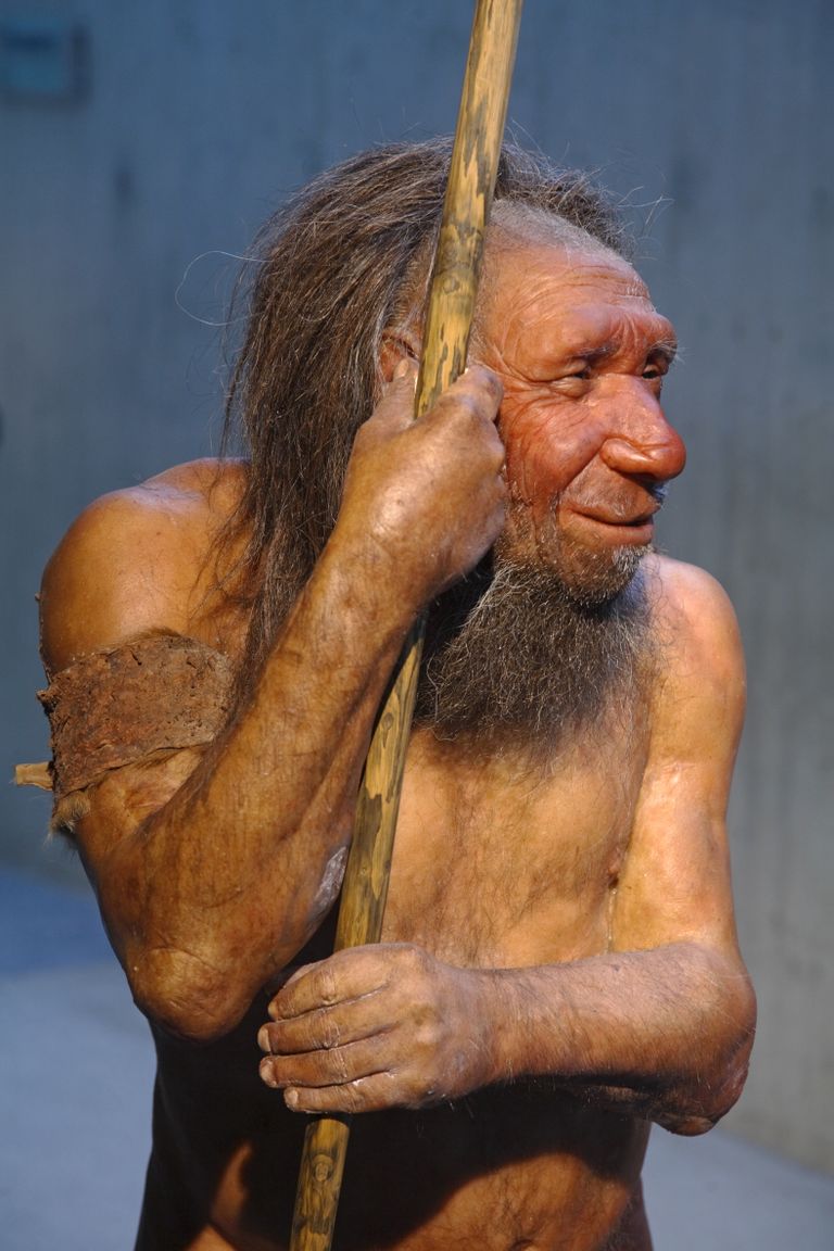 Nendertallase kuju Saksamaal Mettmanni muuseumis.