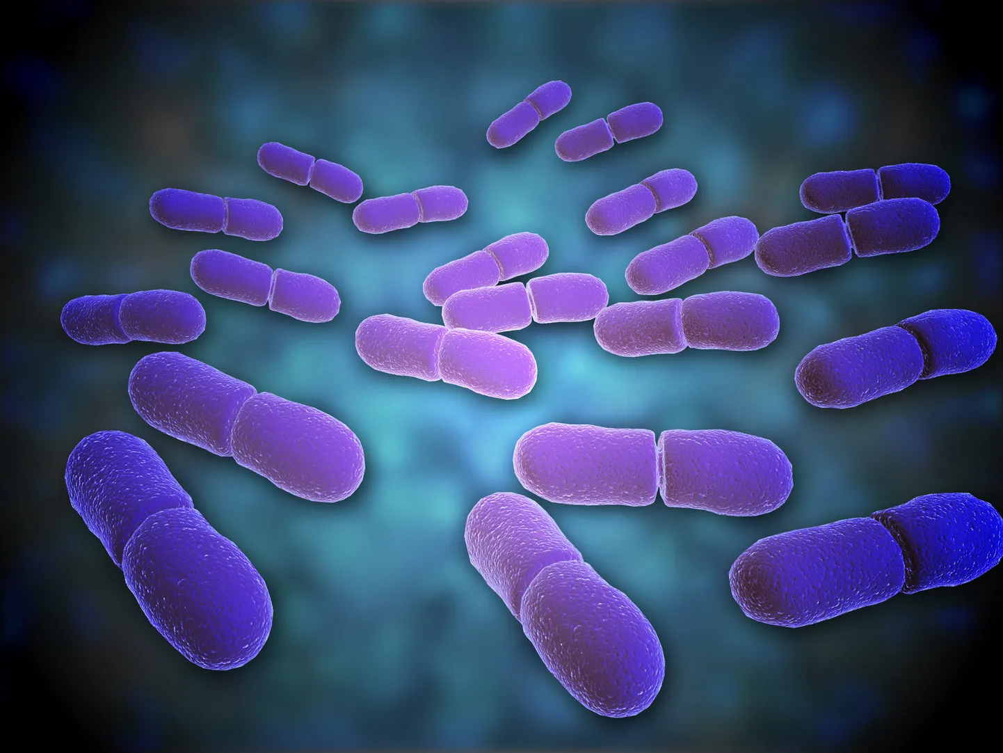 Võidukad Listeria bakterid.