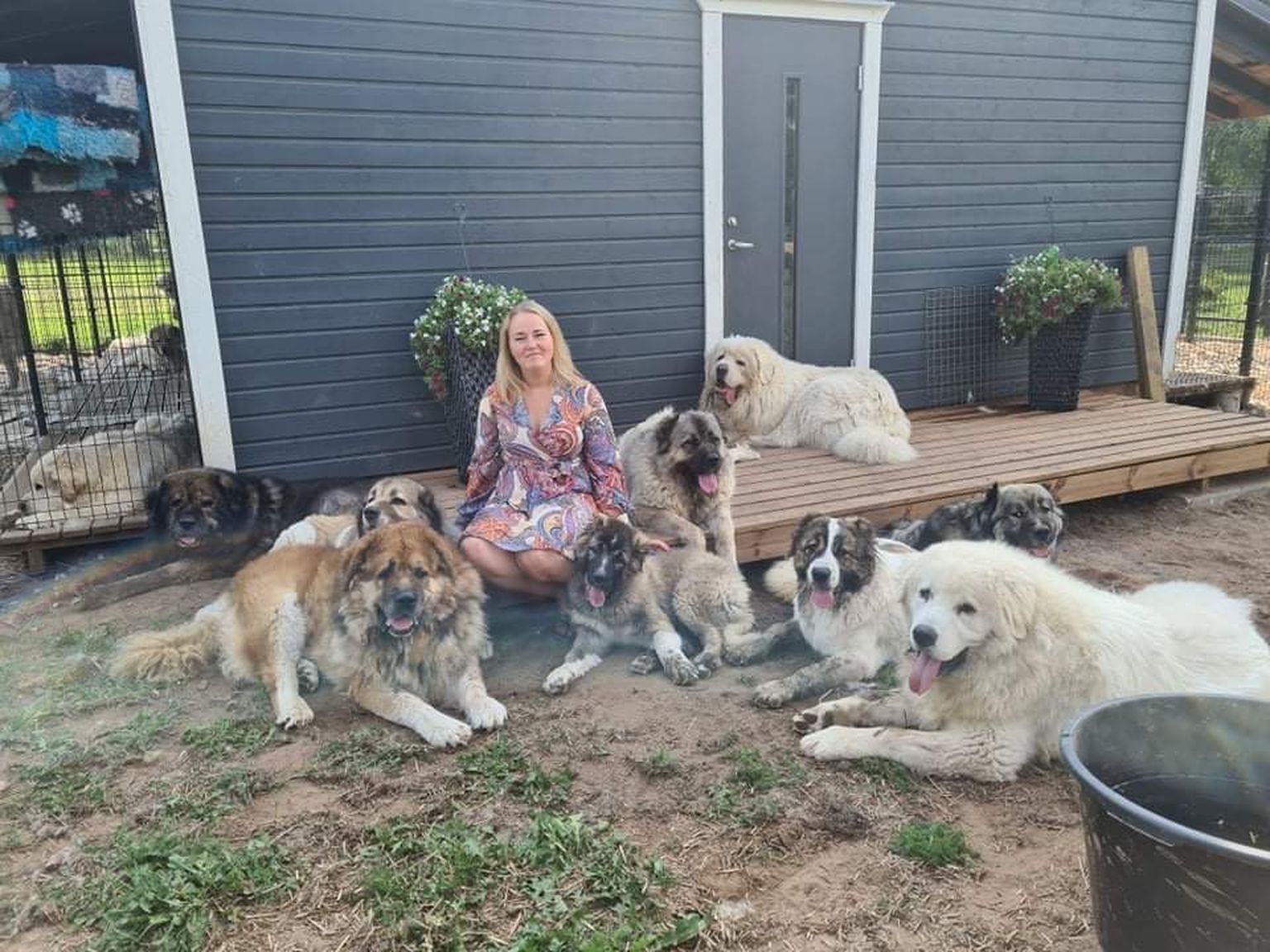 Koerakasvataja Lily Mals paigaldas pärast kahe koera hukkumist enda loomade kaitseks valvekaamerad.