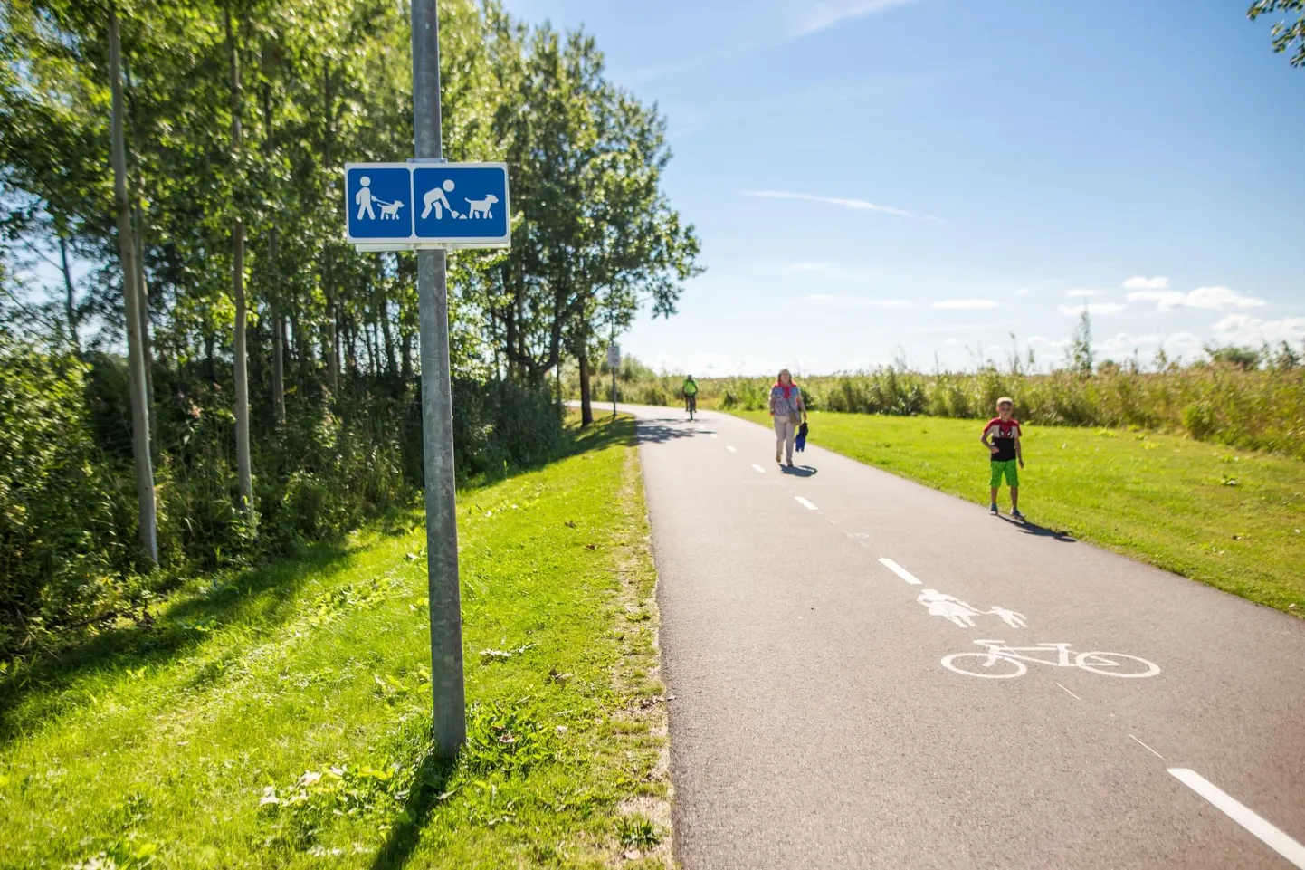Mai kergliiklustee äärde plaanib Pärnu linnavalitsus uut hoonestust.