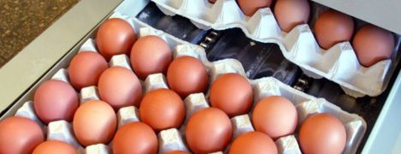 Toiduallergiat tekitavad ka munad.