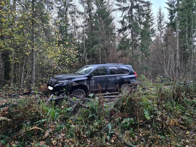 Vargad pagesid varastatud Toyota Land Cruiseriga metsa.