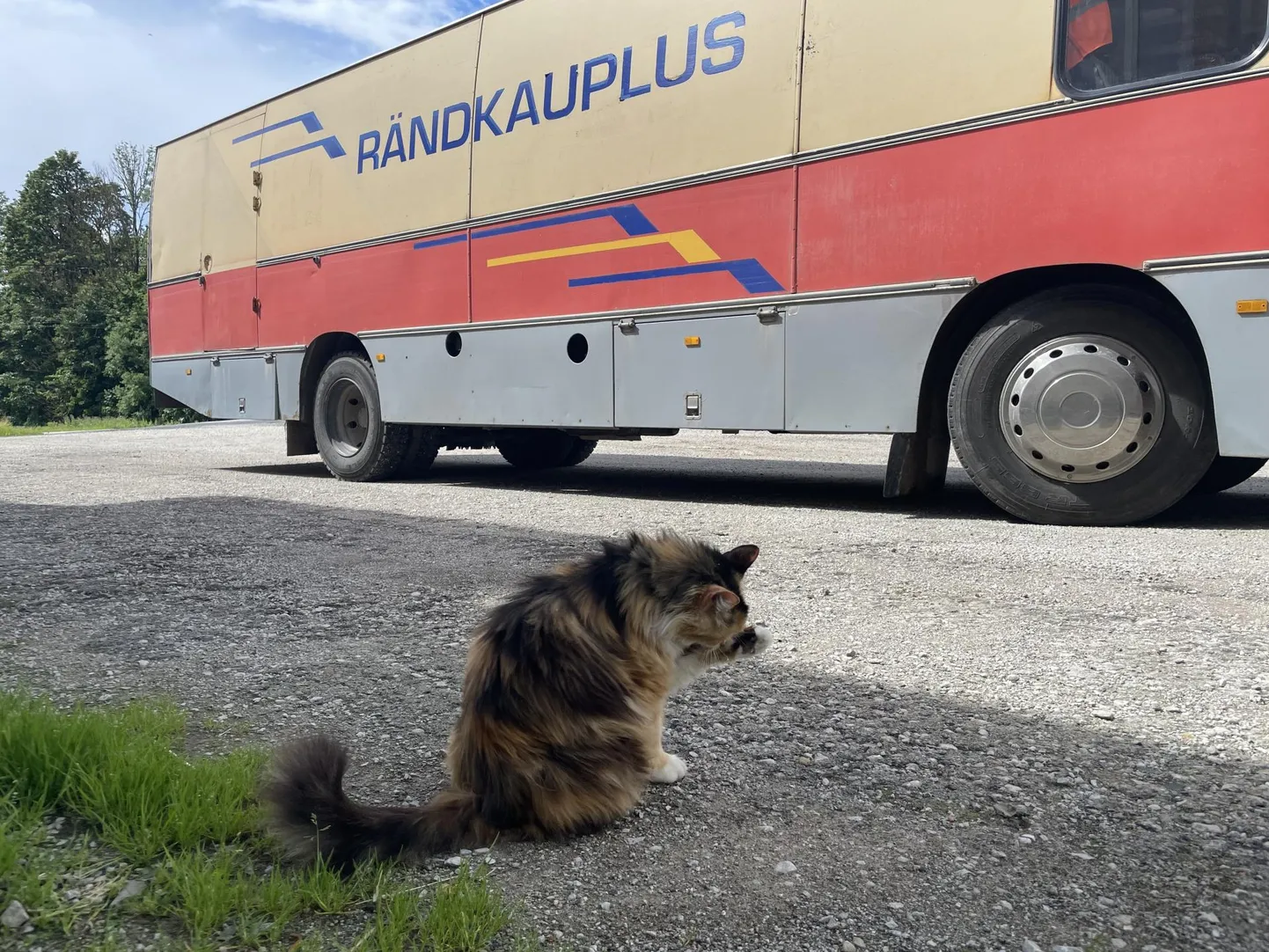 Inju külas tuli rändkauplust külastama ka kohalik hiirekuningas.