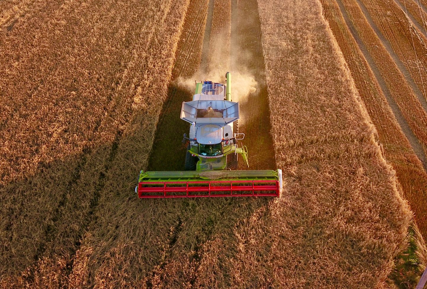 Läti rakendab oma põllumajandustootjatele ka oluliselt suuremat soodustust põllumajandusliku kütuse maksustamisel.Arvestades Eesti põllumajanduses tarbitavat erimärgistatud kütuse kogust, saavad lätlased aktsiisisoodustuse kaudu võrreldes meie põllumajandustootjatega täiendavalt 6,9 miljoni euro suuruse eelise.
