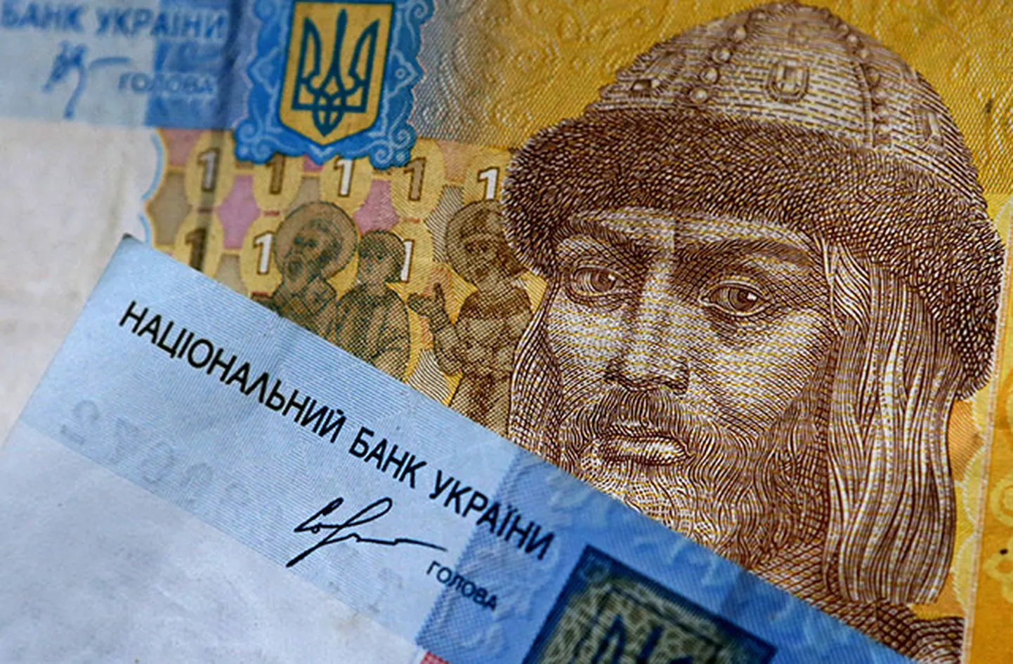 Фото статьи