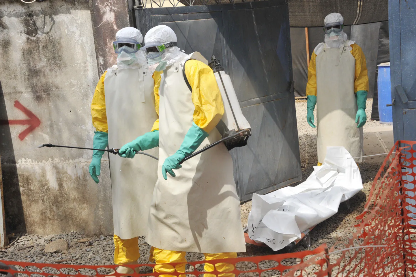 Ebola-viirusega kokkupuutuvad arstid Guineas.