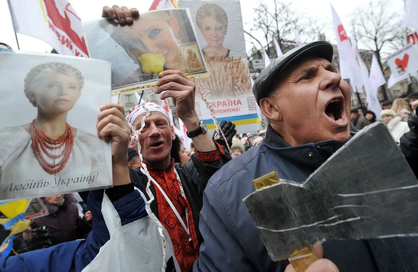 Ukraina ekspeaministri Julia Tõmošenko toetajad 28. märtsil Kiievis president Viktor Janukovõtši tööruumide juures toimunud meeleavaldusel.