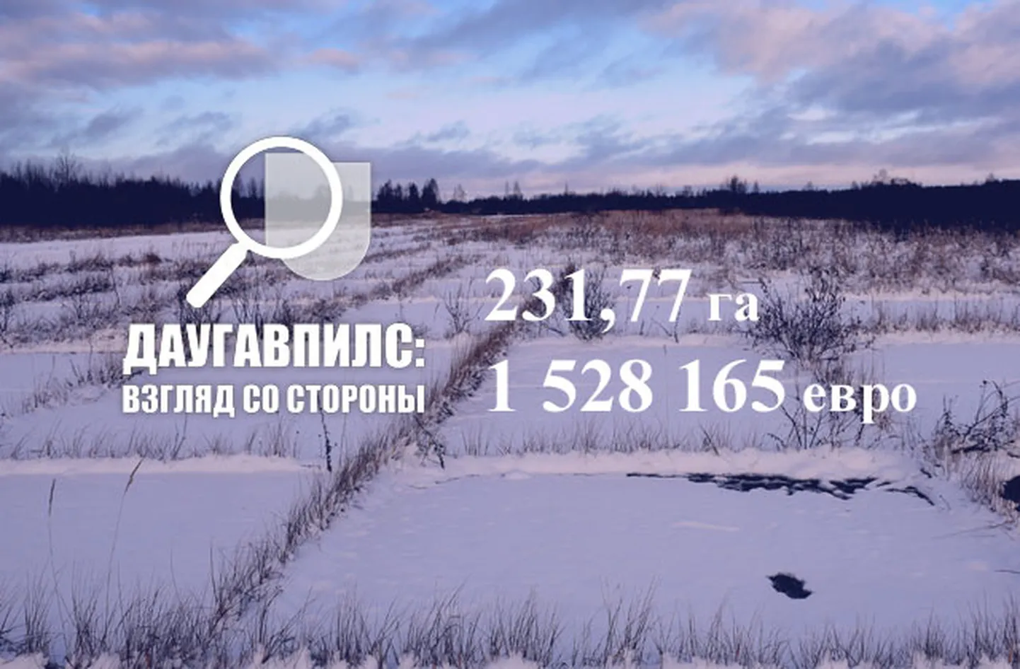 Фото статьи