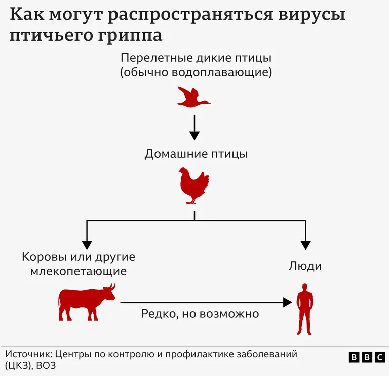 Фото статьи