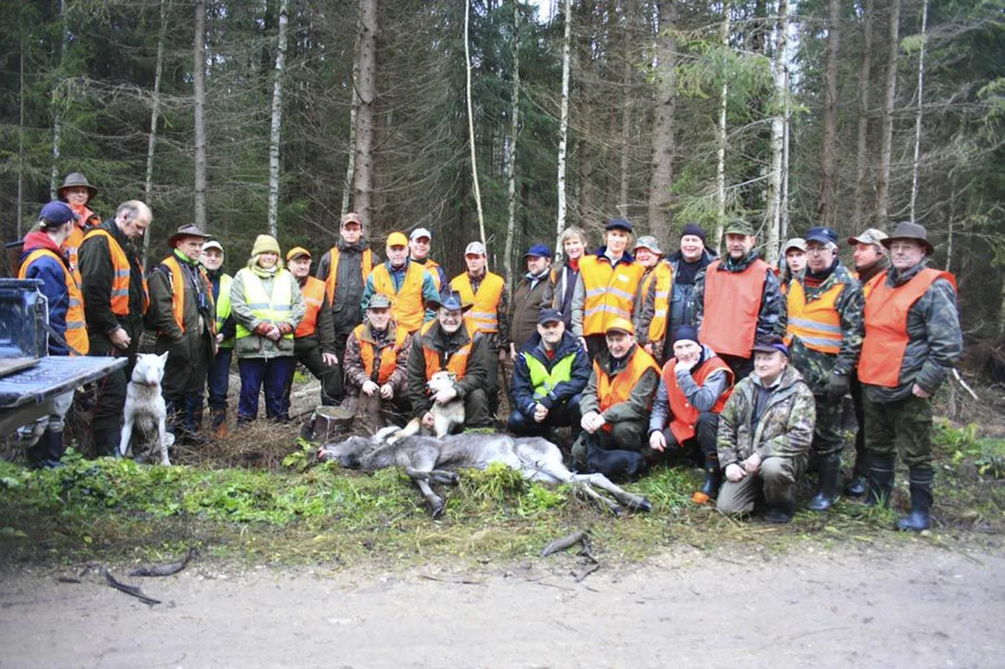Seekordsel jahil kütiti vaid üks põdravasikas, kuid läbi kütiliini nähti sörkimas sokku, kitse ja ilvest.