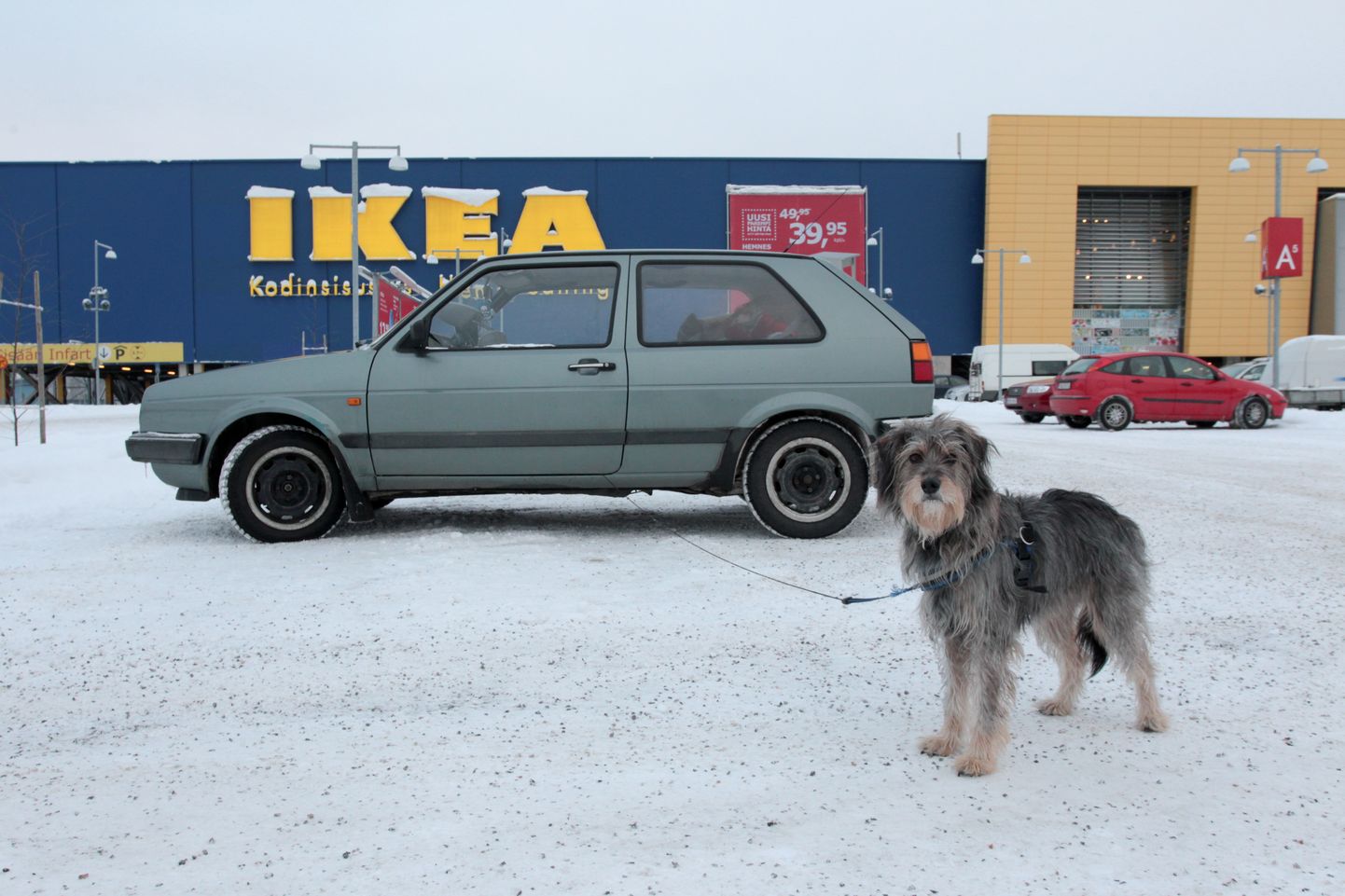 IKEA в Финляндии. Снимок иллюстративный.