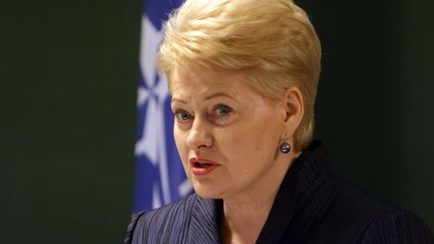 Президент Литвы назвала военные учения 