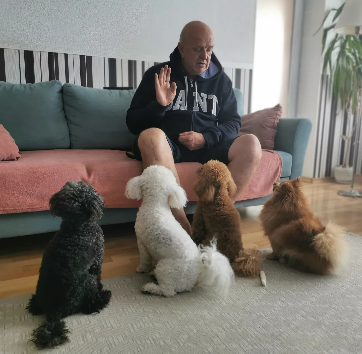 Indrek Kivimäe suudab kodus isegi kõik koerad ennast kuulama panna. Ehk õnnestub tal Paide inimesi ka rohkem spordi juurde tuua.