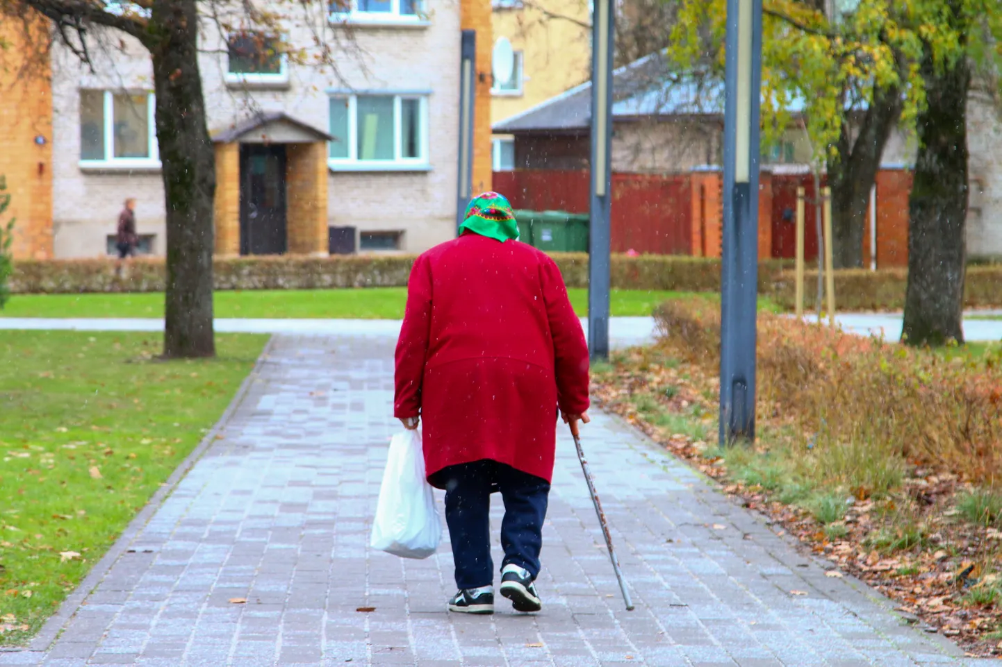 Tulumaksust vabastatakse pensionisaajad vahetult enne riigikogu valimisi.