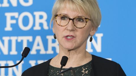 Rootsi välisminister astub tagasi