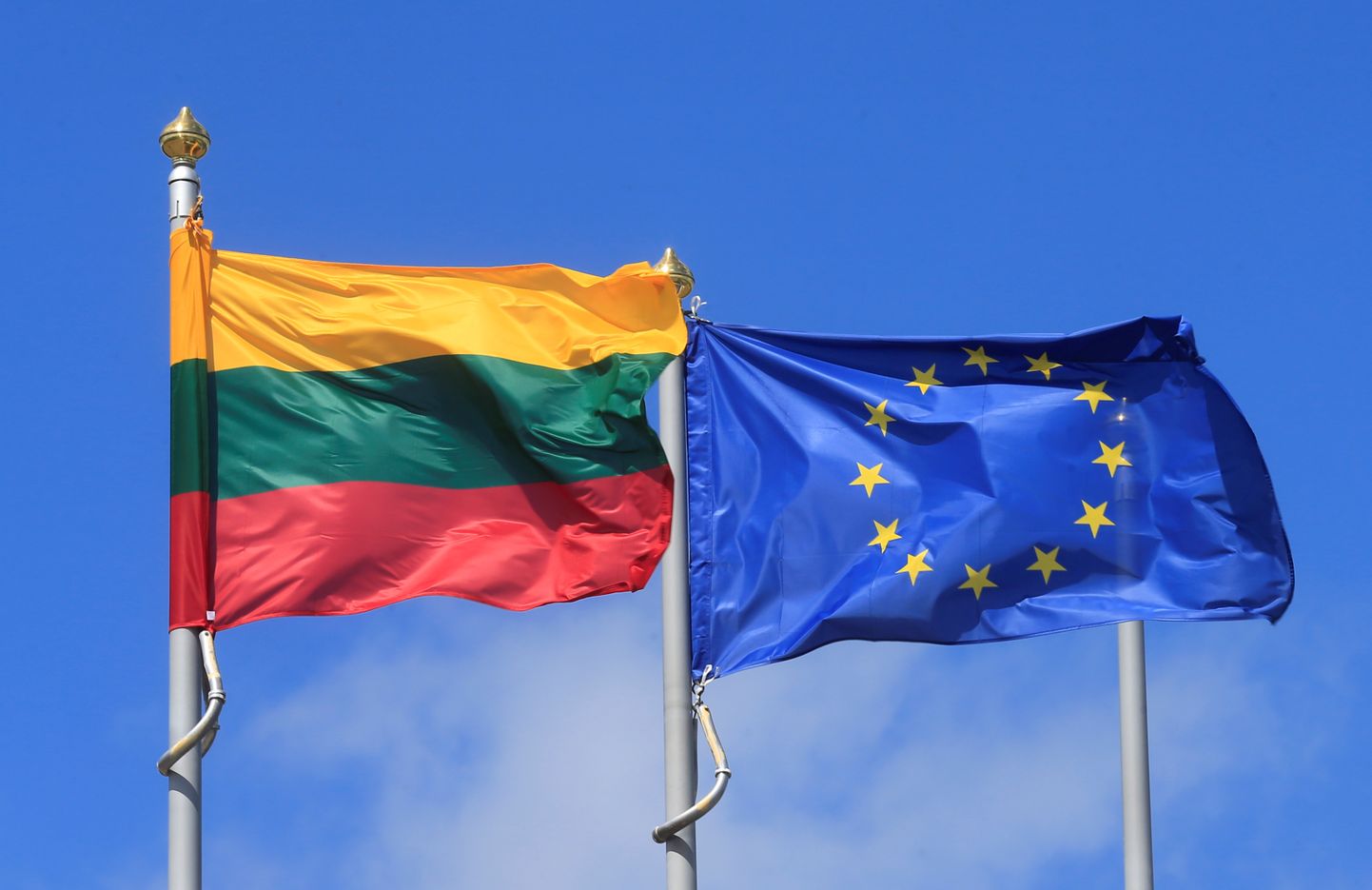 Leedu ja Euroopa Liidu lipud.