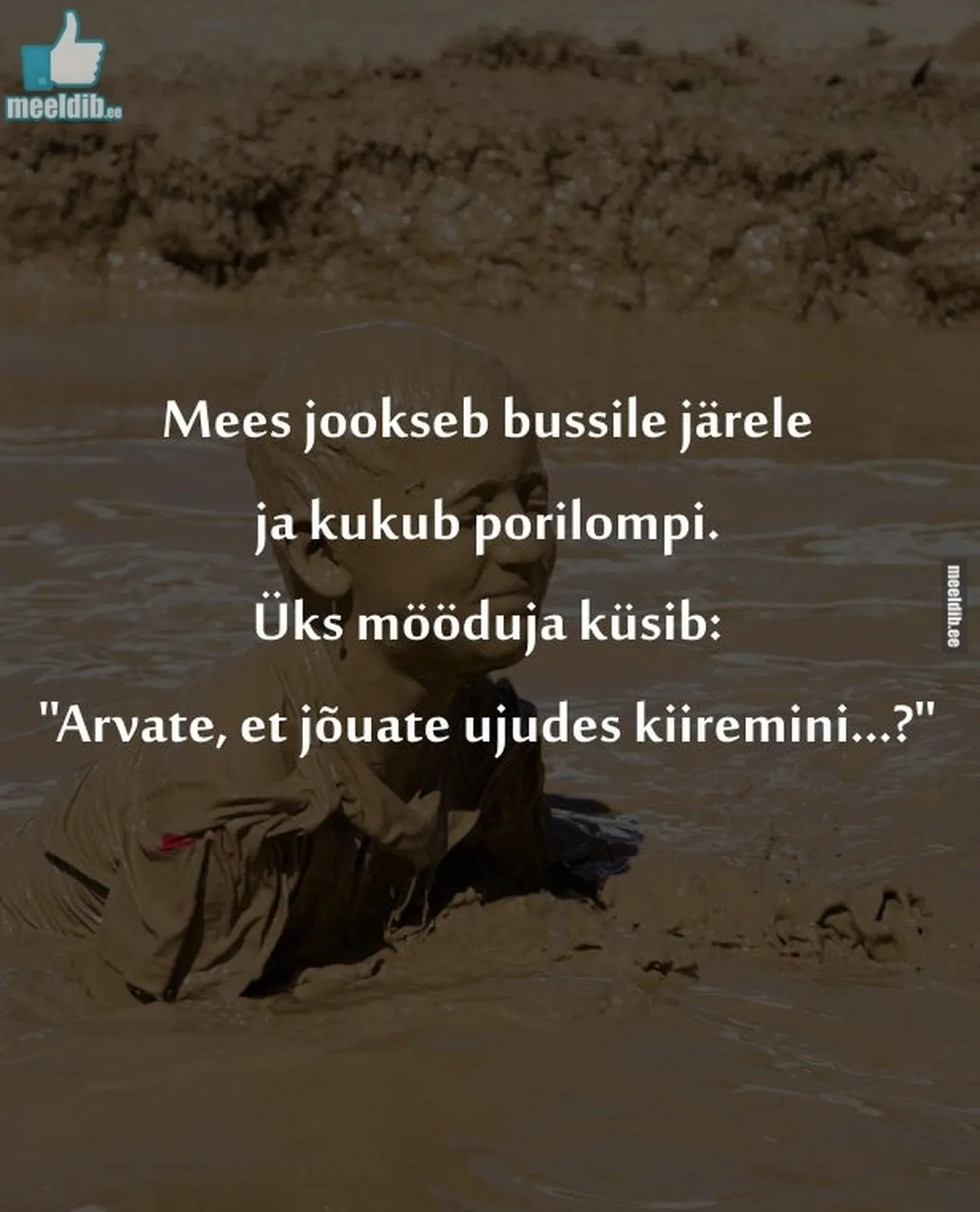 Artikli foto