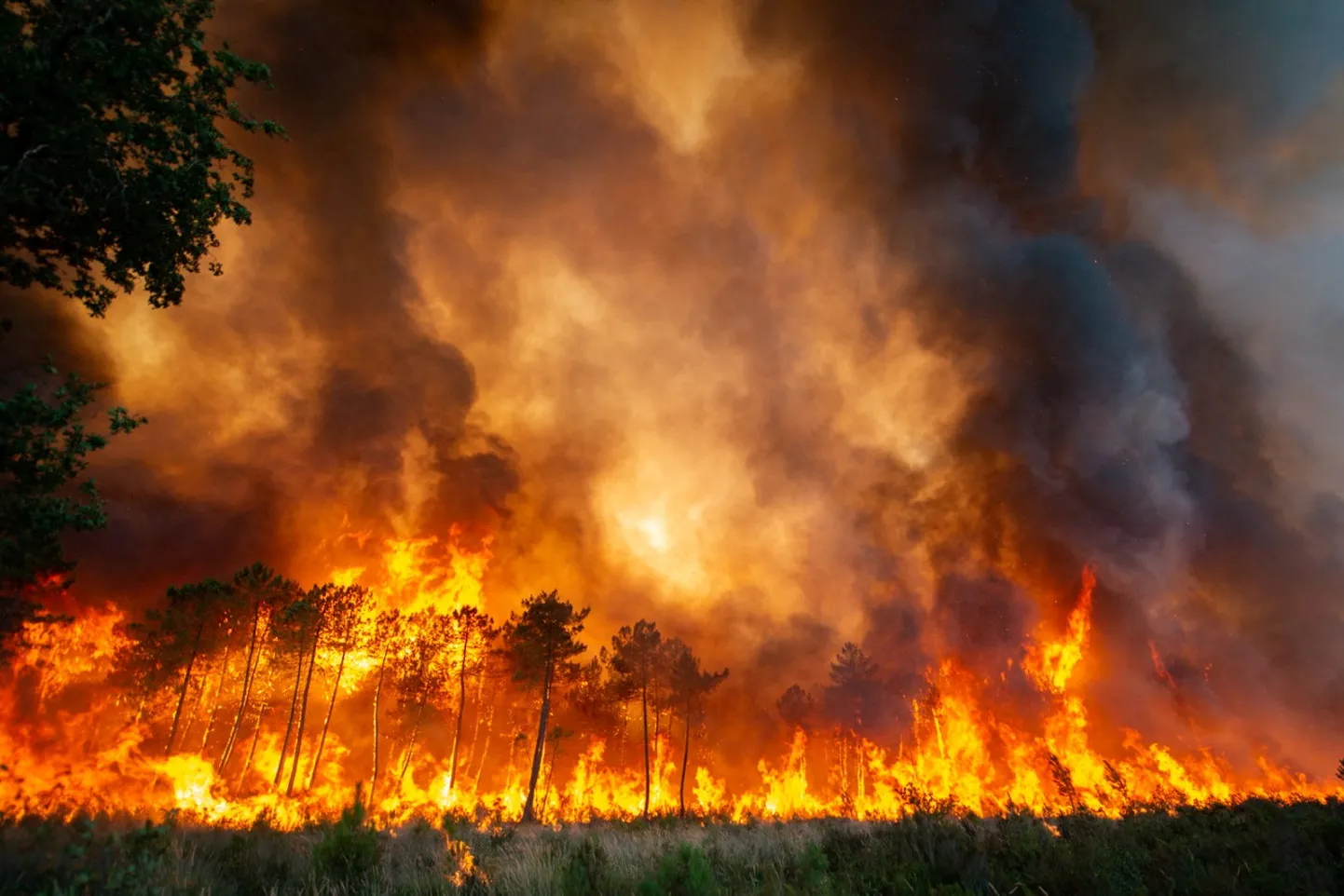 Põlev mets Lõuna-Prantsusmaal.