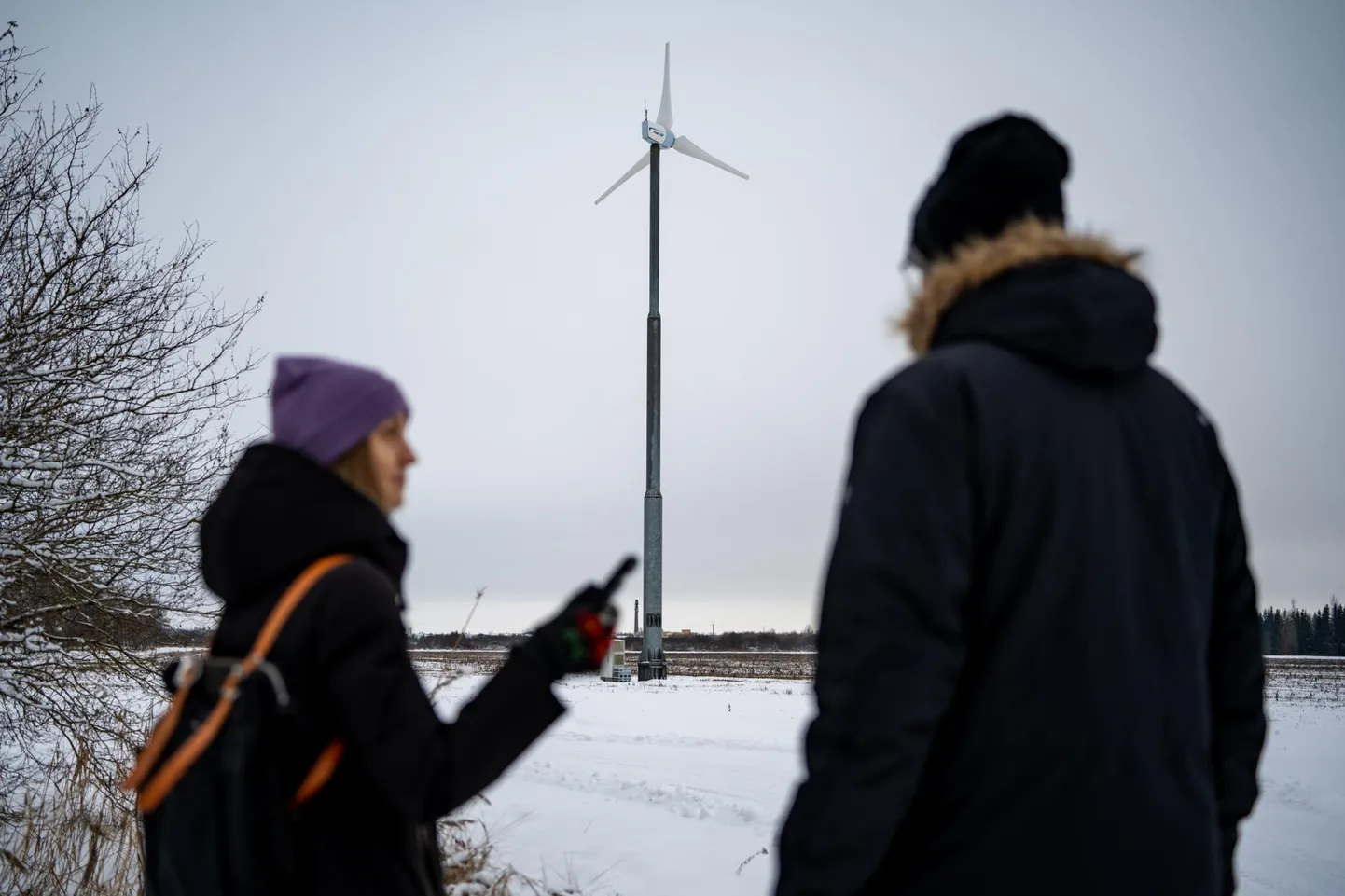 Üks kolmest Pärnumaa väiketuulikuomanikust Ahti Mölder on hariduselt Eesti maaülikooli energiakasutuse eriala magister, sealt ka tema&nbsp;taastuvenergia pisik.