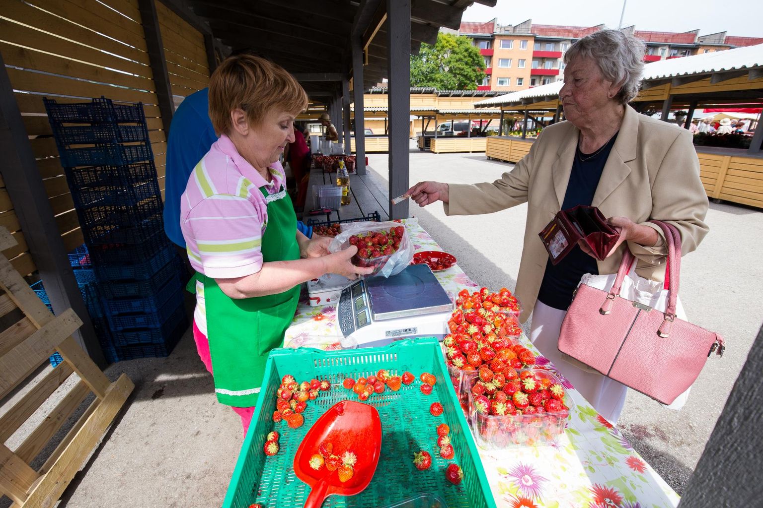Merike Oraver müüb juba mitmendat aastat Kiltsis kasvatatud maasikat ja on ostajate jaoks varakult platsis.