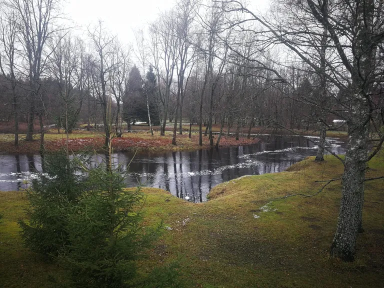 Õhne jõgi on Tõrvas paari päevaga oluliselt kasvanud.
