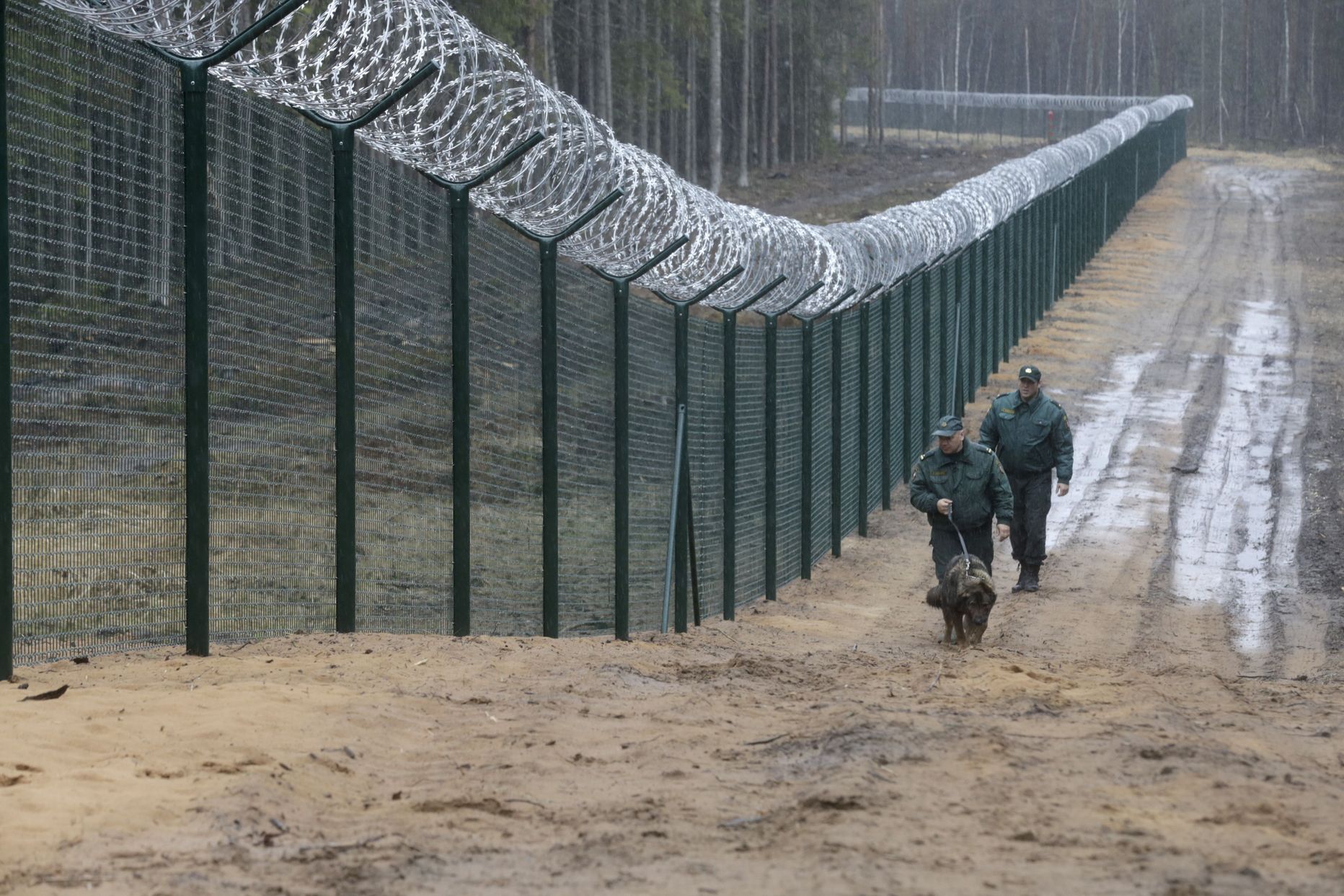 На границе лета. Граница России и Латвии забор колючка. Забор Финляндия на границе с Россией. Стена на границе Польши и Белоруссии. Забор на эстонско-Российской границе.