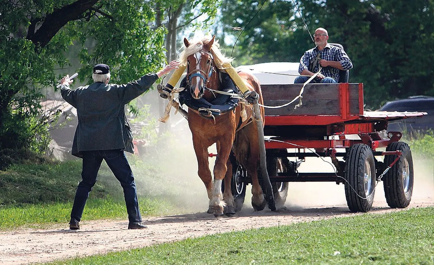 Võistlusmaa on hobusel läbitud, annab märku kohtunikekogu liige Rene Tarum Ida-Virumaalt.