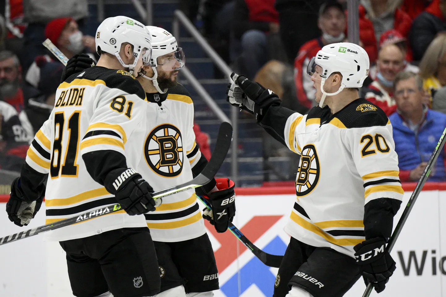 Bostonas "Bruins"
